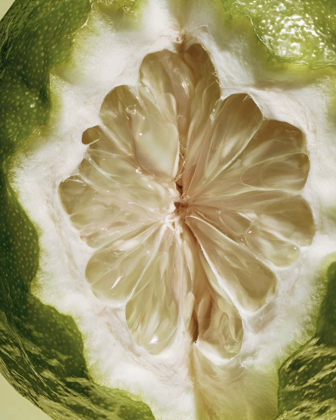 Huile Essentielle Bergamote Bio