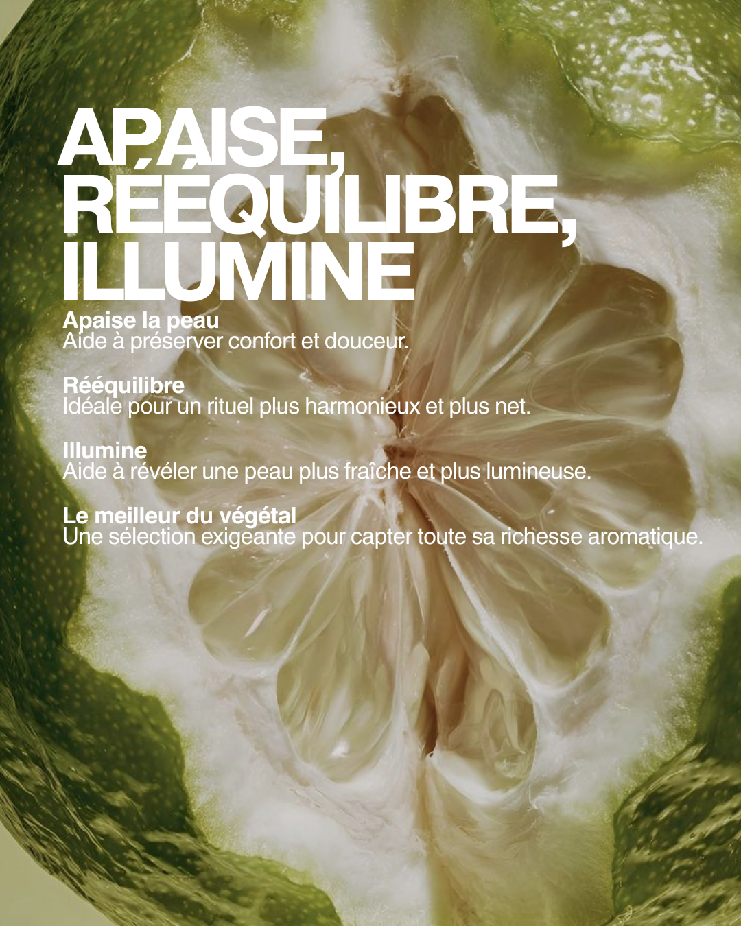 HUILE ESSENTIELLE BERGAMOTE BIO
