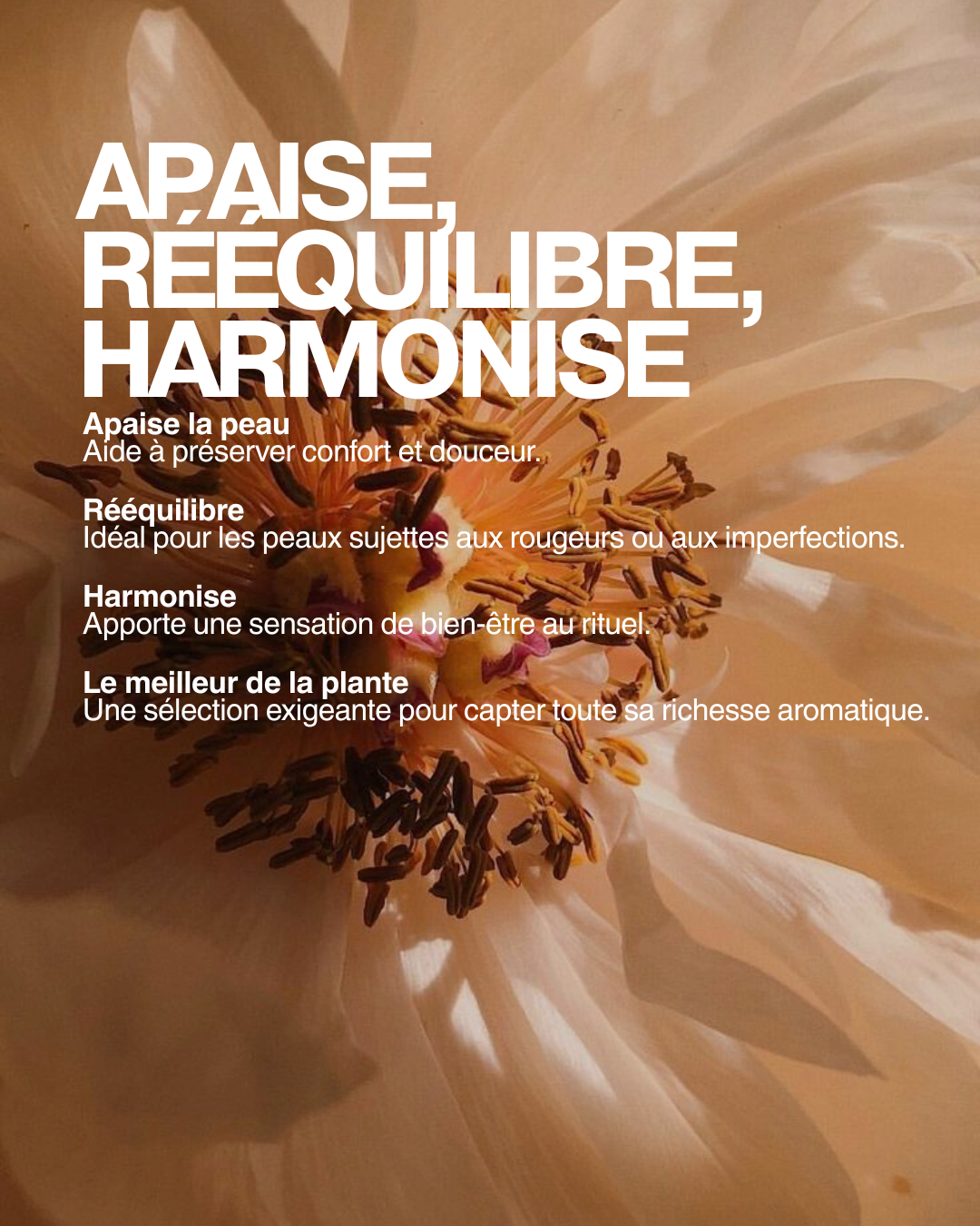 HUILE ESSENTIELLE GERANIUM BIO